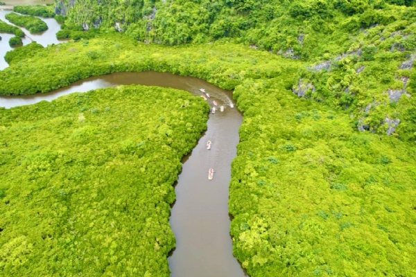 Kayaking in the bay of Wonder or in Mangroves Forest