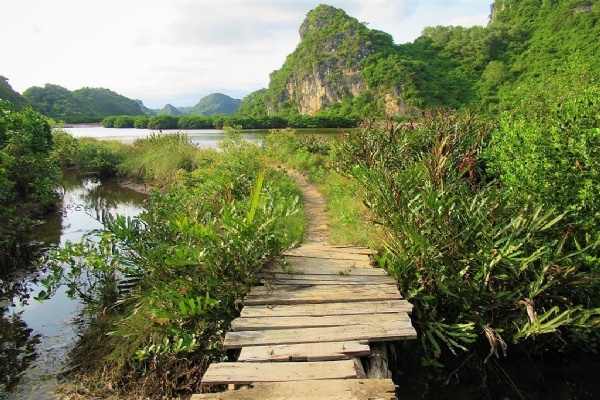 Eco Stay Catba Bungalows - Nurtured by Nature