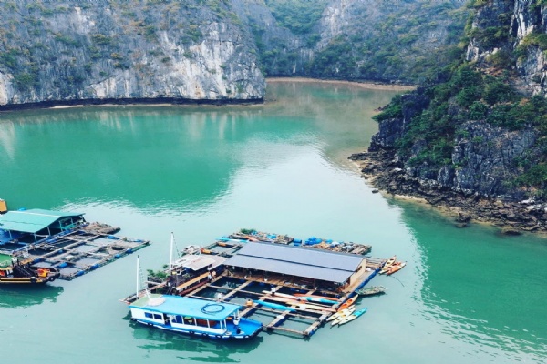Eco Floating Farmstay Cai Beo
