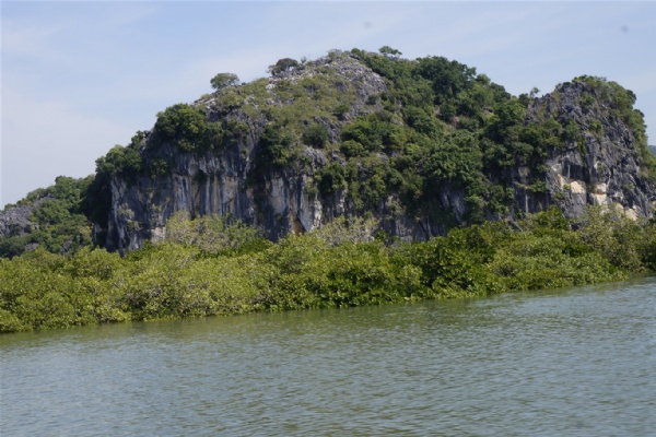 Baie de Bai Tu Long - Merveille naturelle