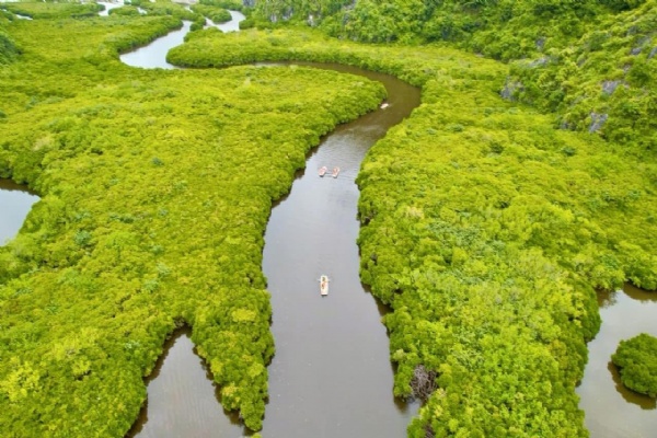 Uniquely Thien Long Cave, Otter Valley, Mangrove Forests, Ducks Massage and Catba Island in less traveled Areas